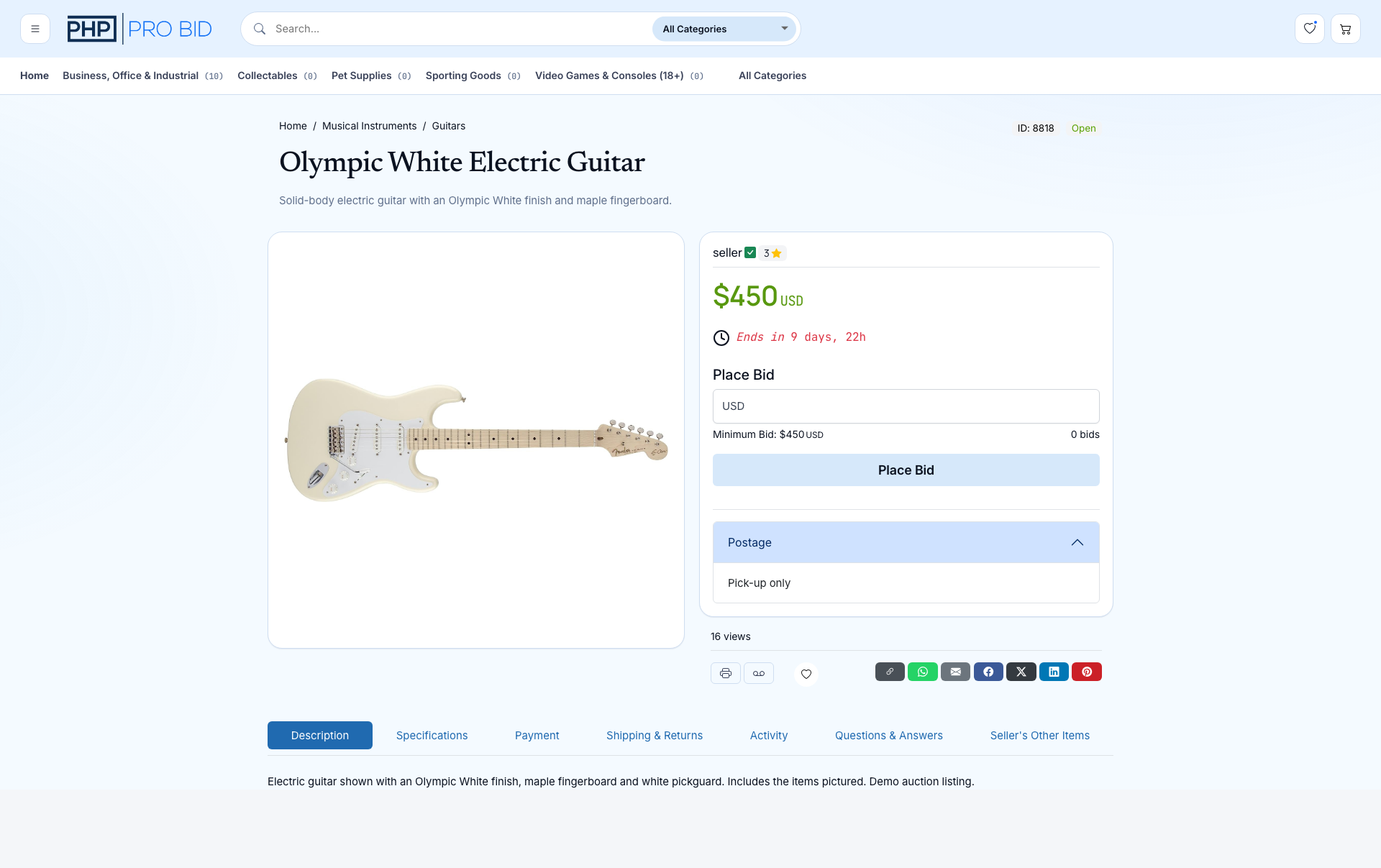 PHP Pro Bid guitar auction listing with current bid, bidding form and countdown