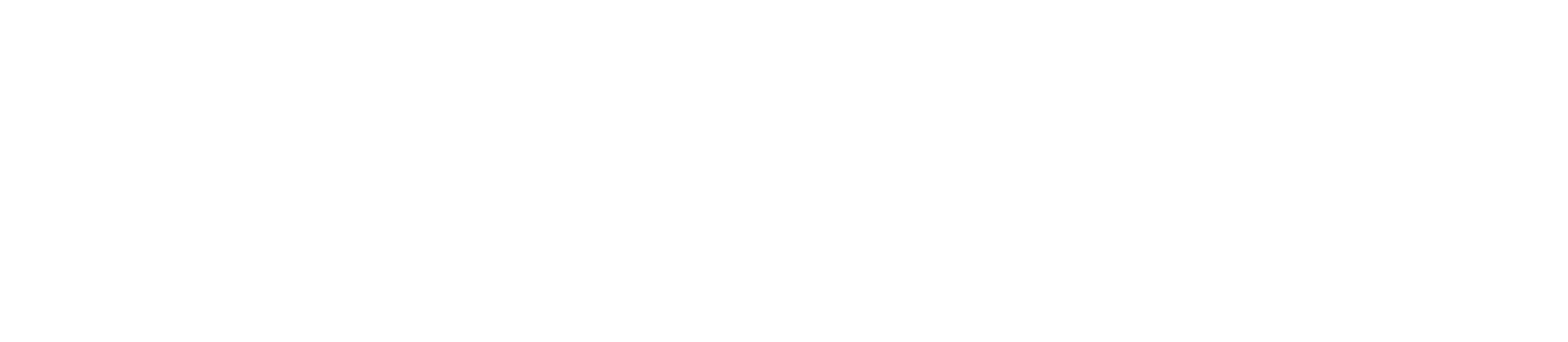 PHP Pro Bid Logo